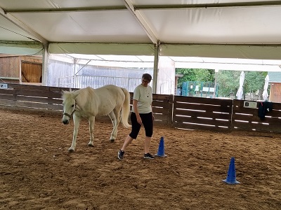 equicoaching particulier solo rueil