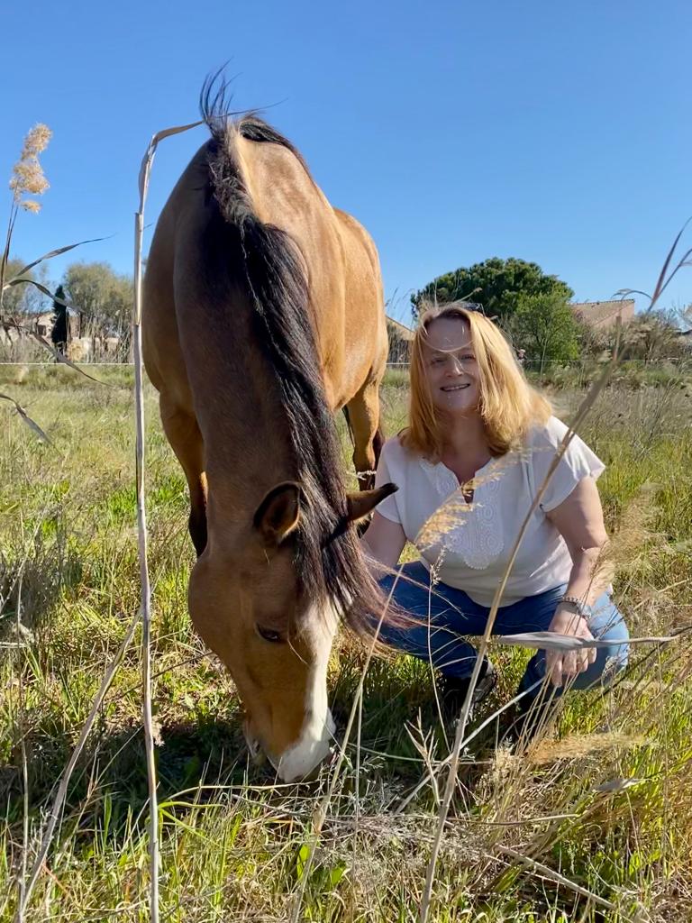 cheval equicoaching liberté manager