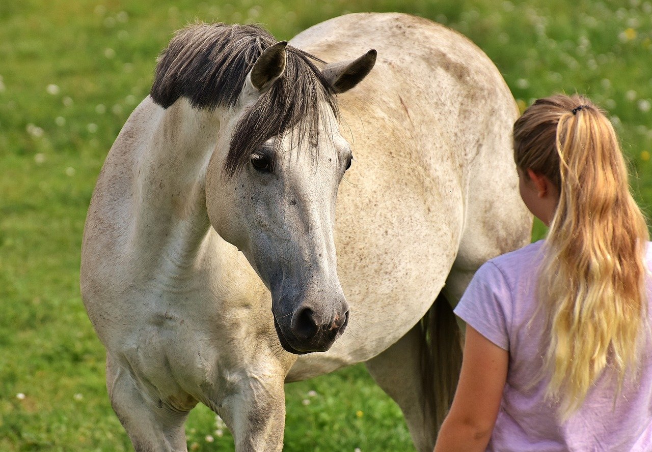 cheval equicoaching femme