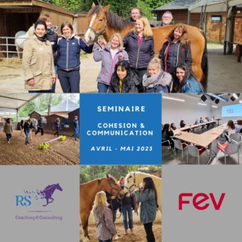 Séminaire FEV